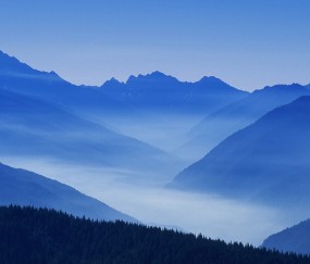 那个医院试管宝宝（哪个医院做试管婴儿）